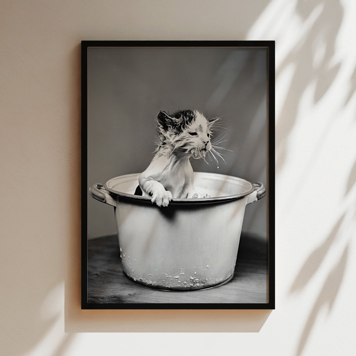 Washing Kitten in a Bucket Wall Art - Funny Black & White Animal Photo, Cute Vintage Cat Poster for Bathrooms, Laundries or Quirky decor