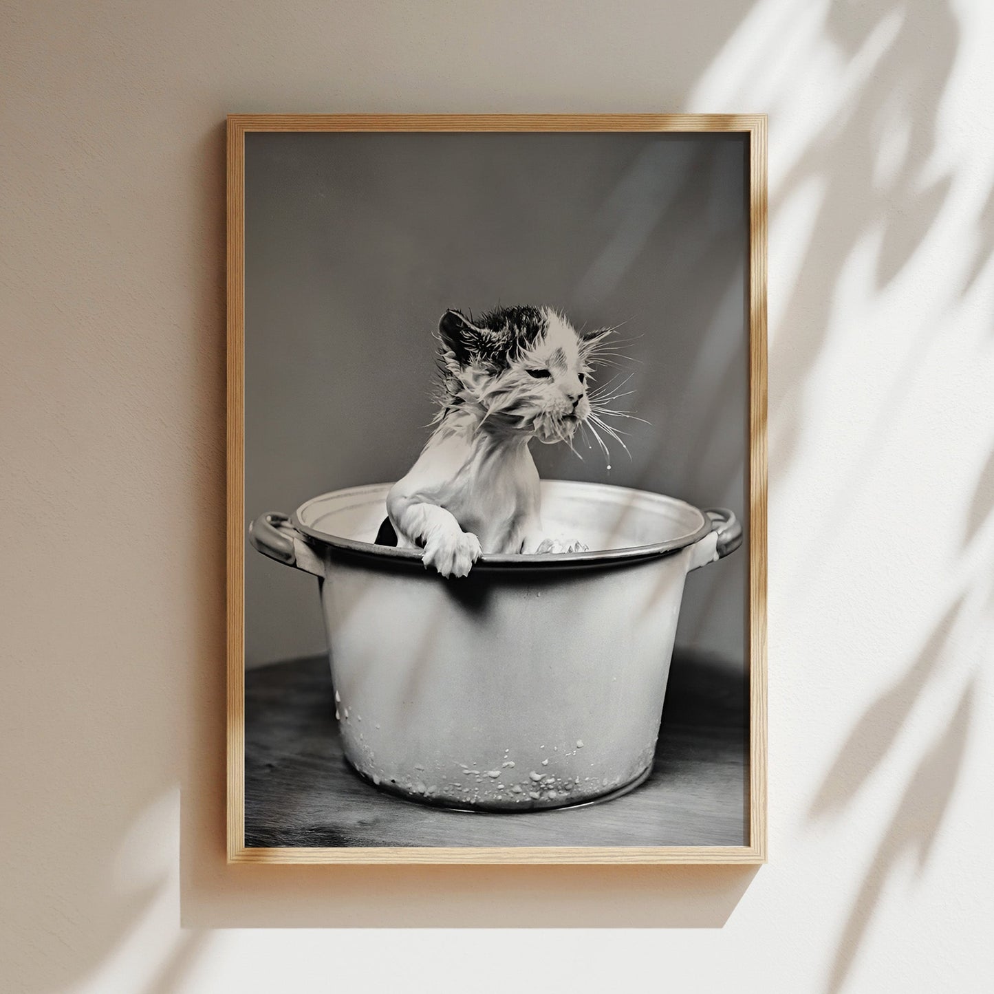 Washing Kitten in a Bucket Wall Art - Funny Black & White Animal Photo, Cute Vintage Cat Poster for Bathrooms, Laundries or Quirky decor