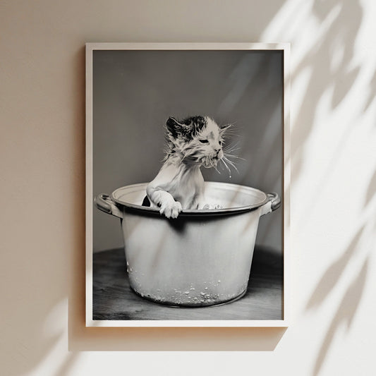 Washing Kitten in a Bucket Wall Art - Funny Black & White Animal Photo, Cute Vintage Cat Poster for Bathrooms, Laundries or Quirky decor