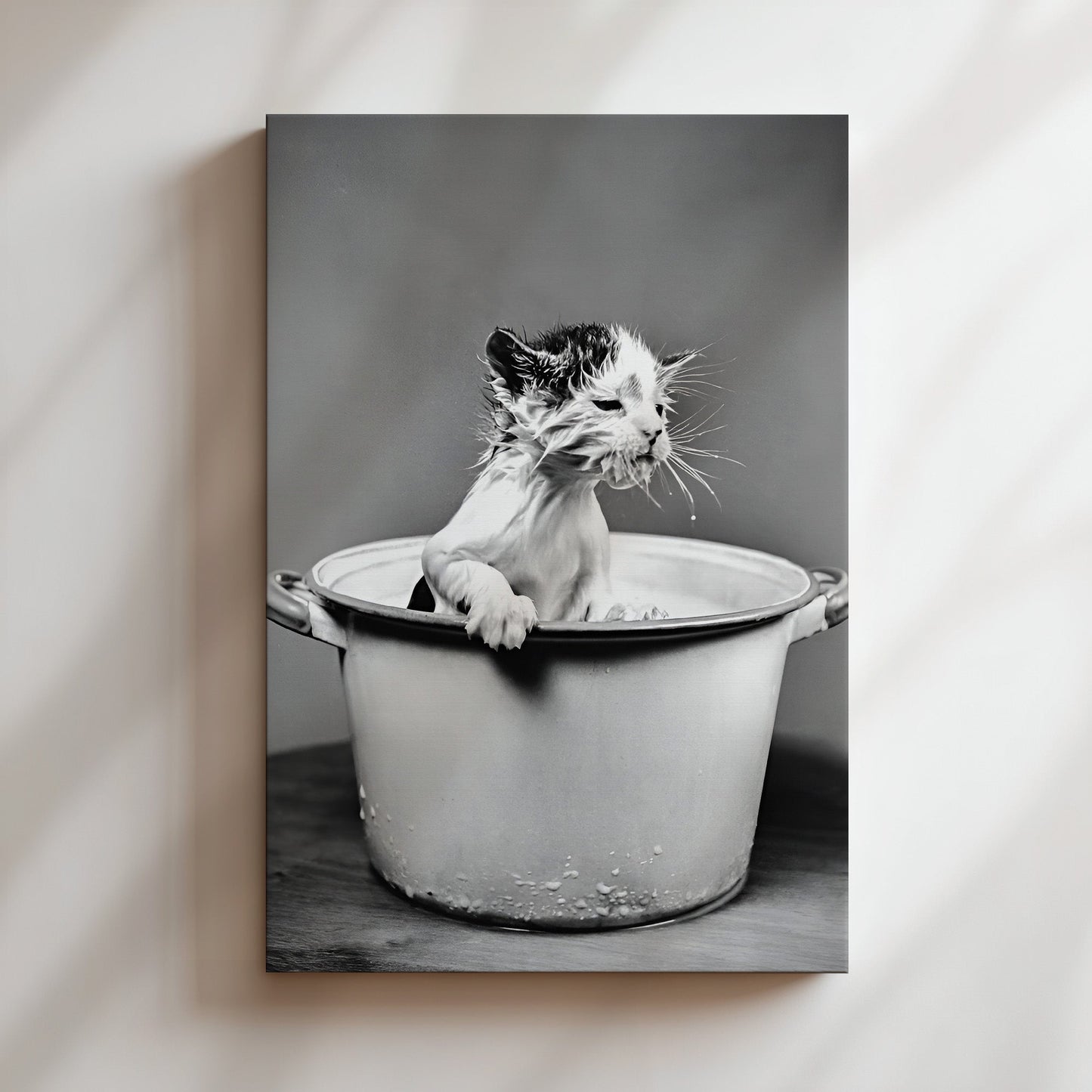 Washing Kitten in a Bucket Wall Art - Funny Black & White Animal Photo, Cute Vintage Cat Poster for Bathrooms, Laundries or Quirky decor